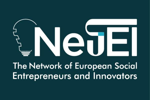 The official NESEI logo.